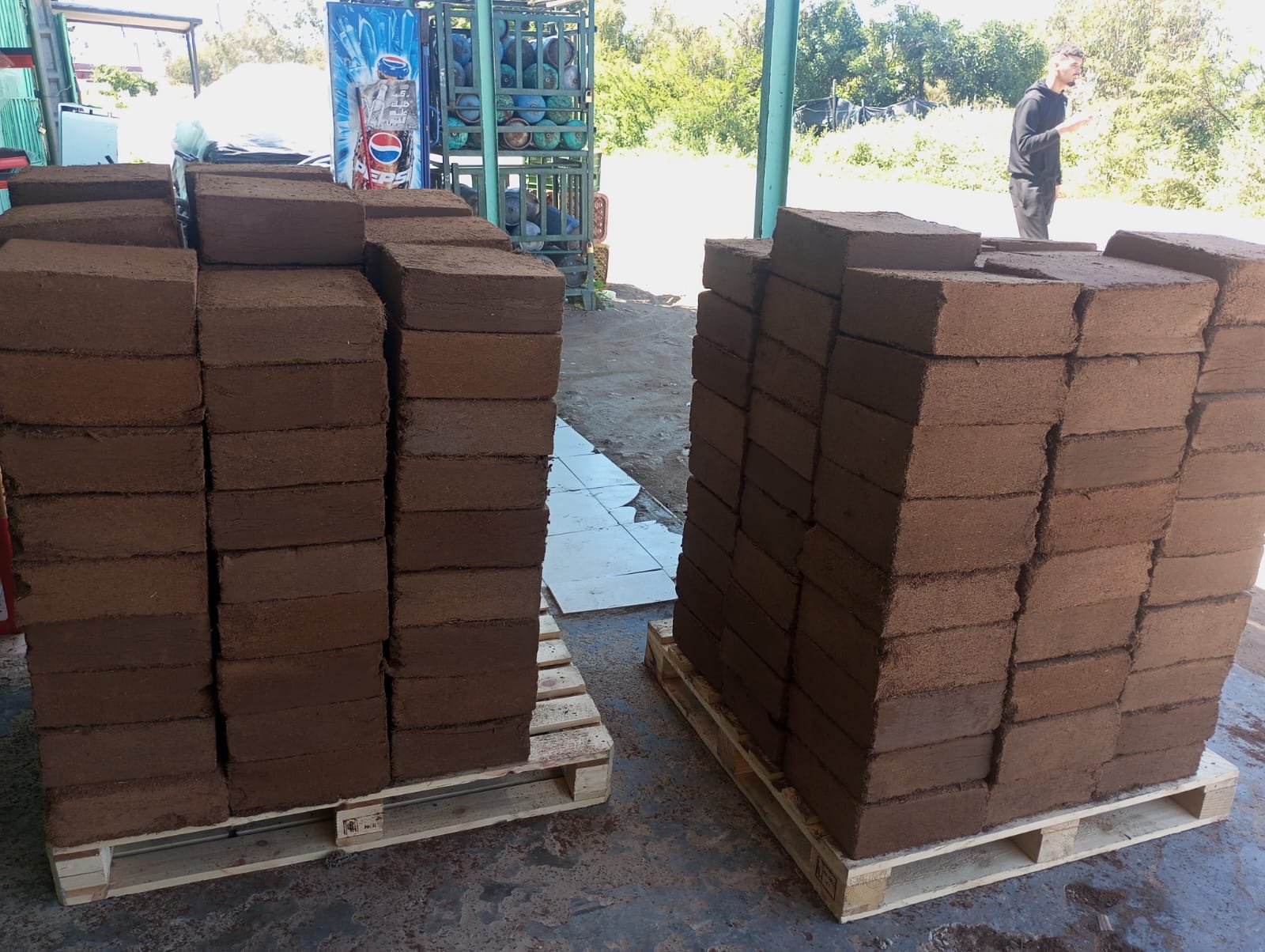 Blocs de coco sur une palette